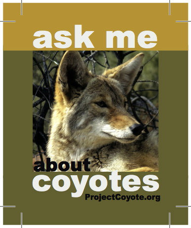 Ask Me About Coyotes Button