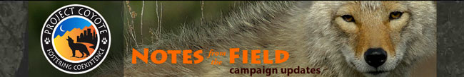 Campaign_banner
