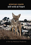 American Coyote Film Cover