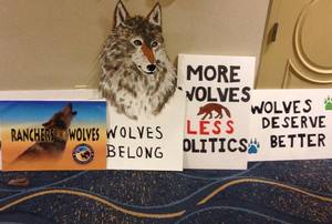 Wolves Rally signs CAFG Comm. hearing 4.16.14