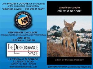 American Coyote Screening NM 6.29.13